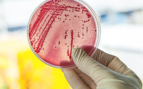 Badanie zawęźlonych białek krokiem do antybiotykooporności