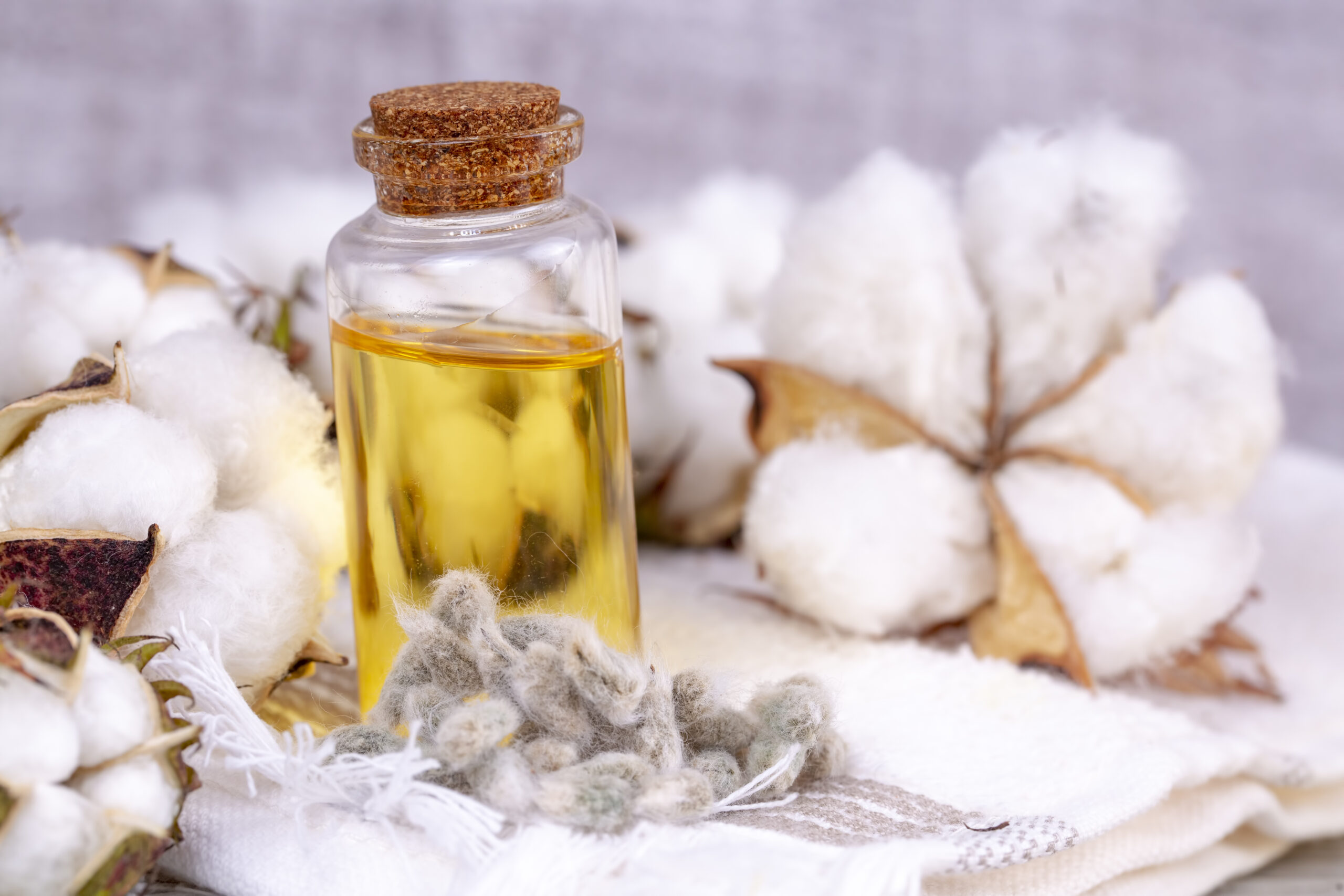 Jakie znaczenie w leczeniu ran ma olej z nasion bawełny?